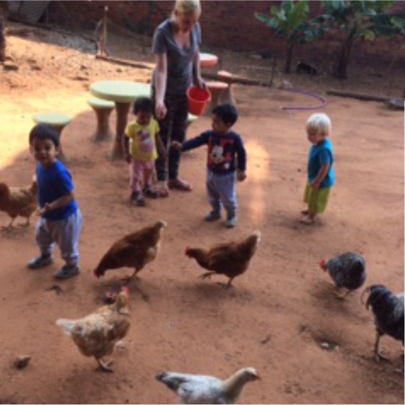 Toddlers feeding the chickens in the school farmyard