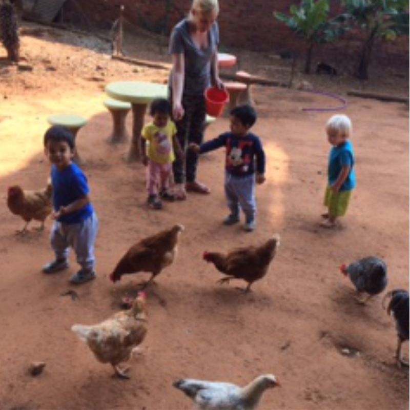 Toddlers among the chickens