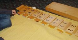 Wooden Montessori number rods