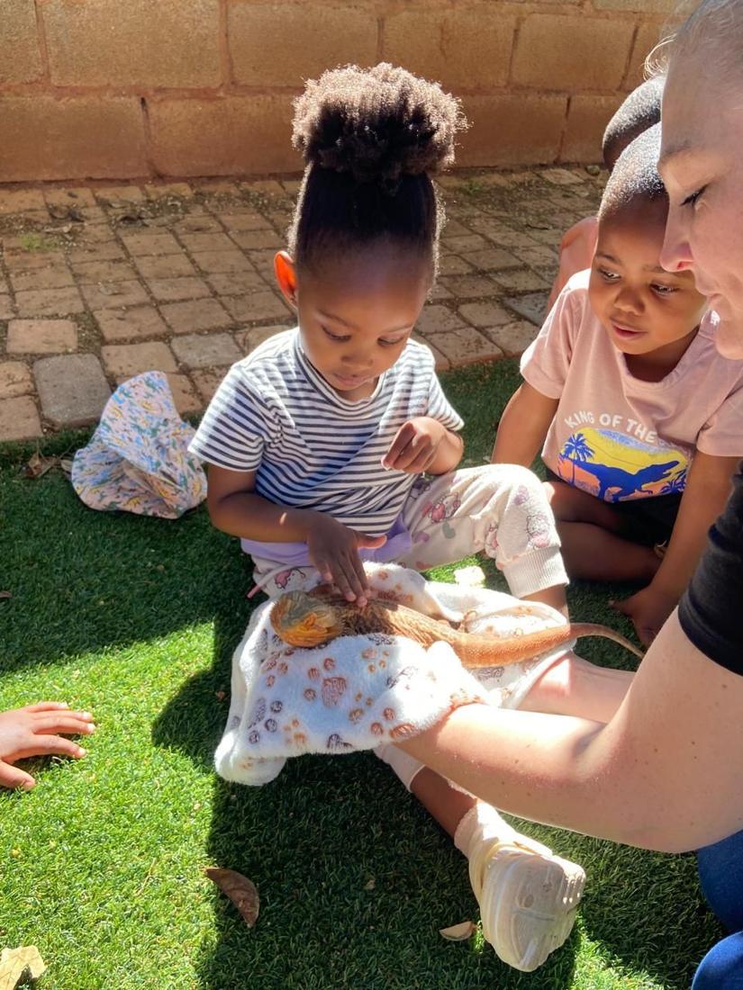 A little girl gently touching a bearded dragon